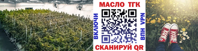 ТГК концентрат  где купить наркотик  omg tor  Новоржев 