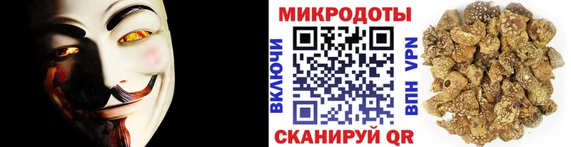 Псилоцибиновые грибы Cubensis Новоржев
