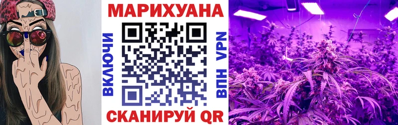 MEGA tor  даркнет какой сайт  Шишки марихуана White Widow  Новоржев 